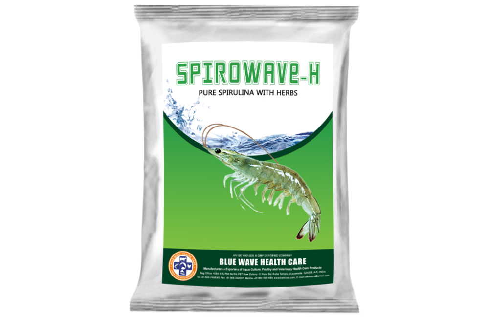 SPIROWAVE-H (Pure Spirulina with Herbs )